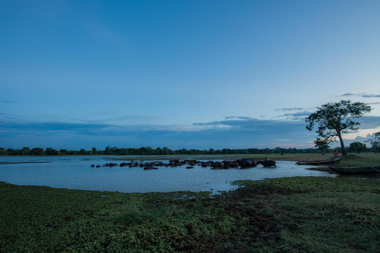 Villa Tranquil Wild Tanamalwila Exterior foto